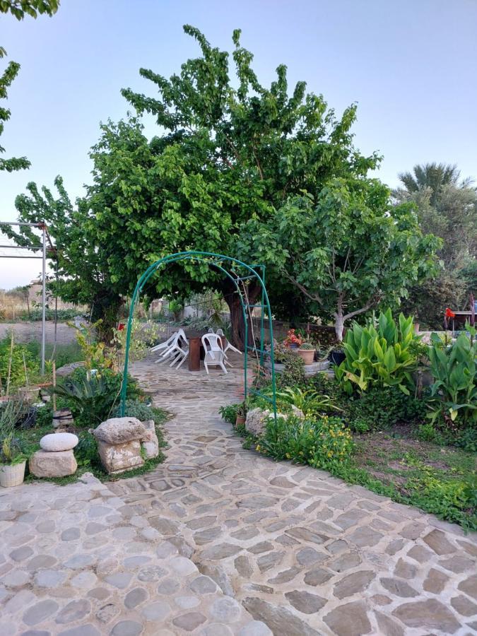 La Medusa Gardens Iskele District  Extérieur photo